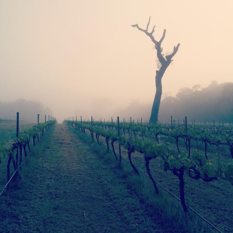 Island Brook Estate Winery And Chalets Margaret River Esterno foto