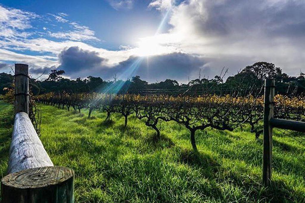 Island Brook Estate Winery And Chalets Margaret River Esterno foto