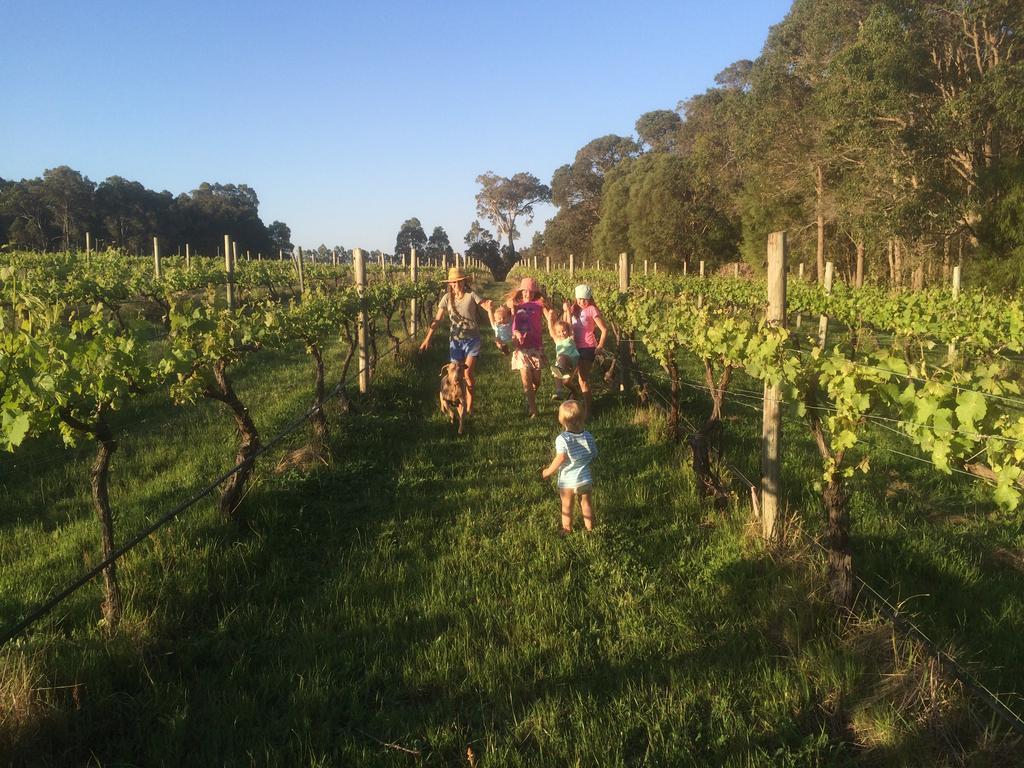 Island Brook Estate Winery And Chalets Margaret River Esterno foto