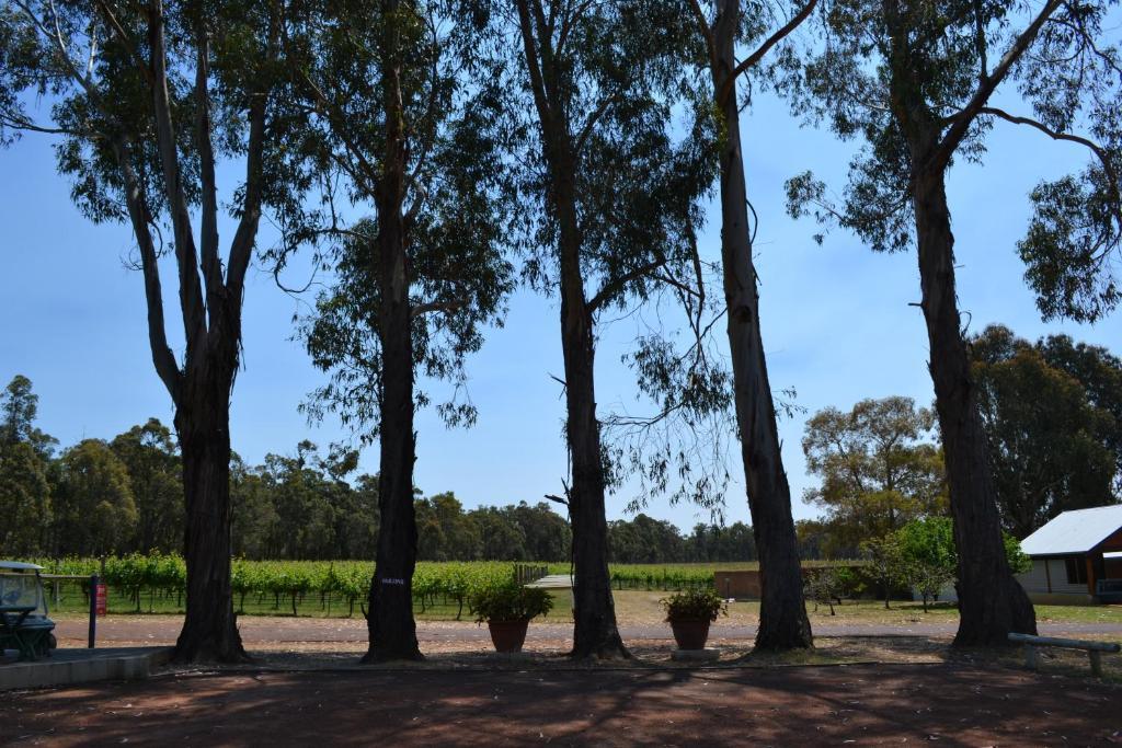 Island Brook Estate Winery And Chalets Margaret River Esterno foto